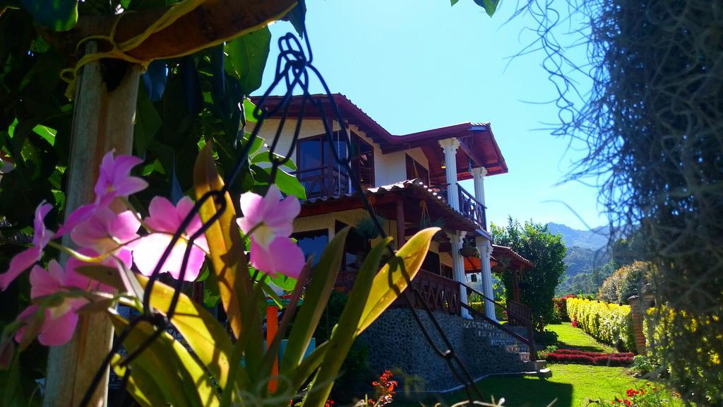Coliving La Boira Bed & Breakfast Jardin Bagian luar foto