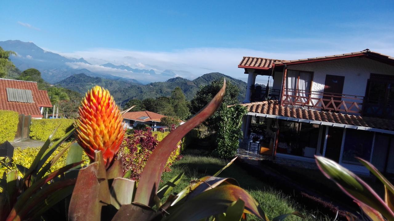 Coliving La Boira Bed & Breakfast Jardin Bagian luar foto