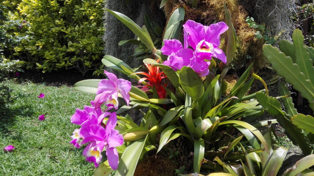 Coliving La Boira Bed & Breakfast Jardin Bagian luar foto
